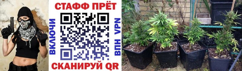 Хочу наркоту Нерчинск НБОМе  Alpha-PVP  Псилоцибиновые грибы 