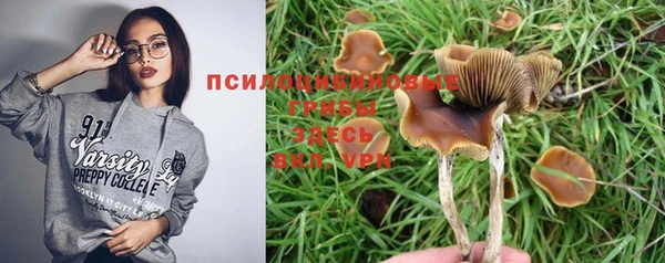 прущие крисы Беломорск