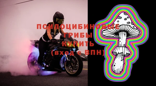 марки lsd Белокуриха