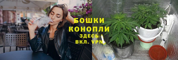 марки lsd Белокуриха
