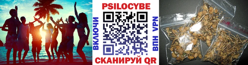 Псилоцибиновые грибы Psilocybine cubensis Нерчинск